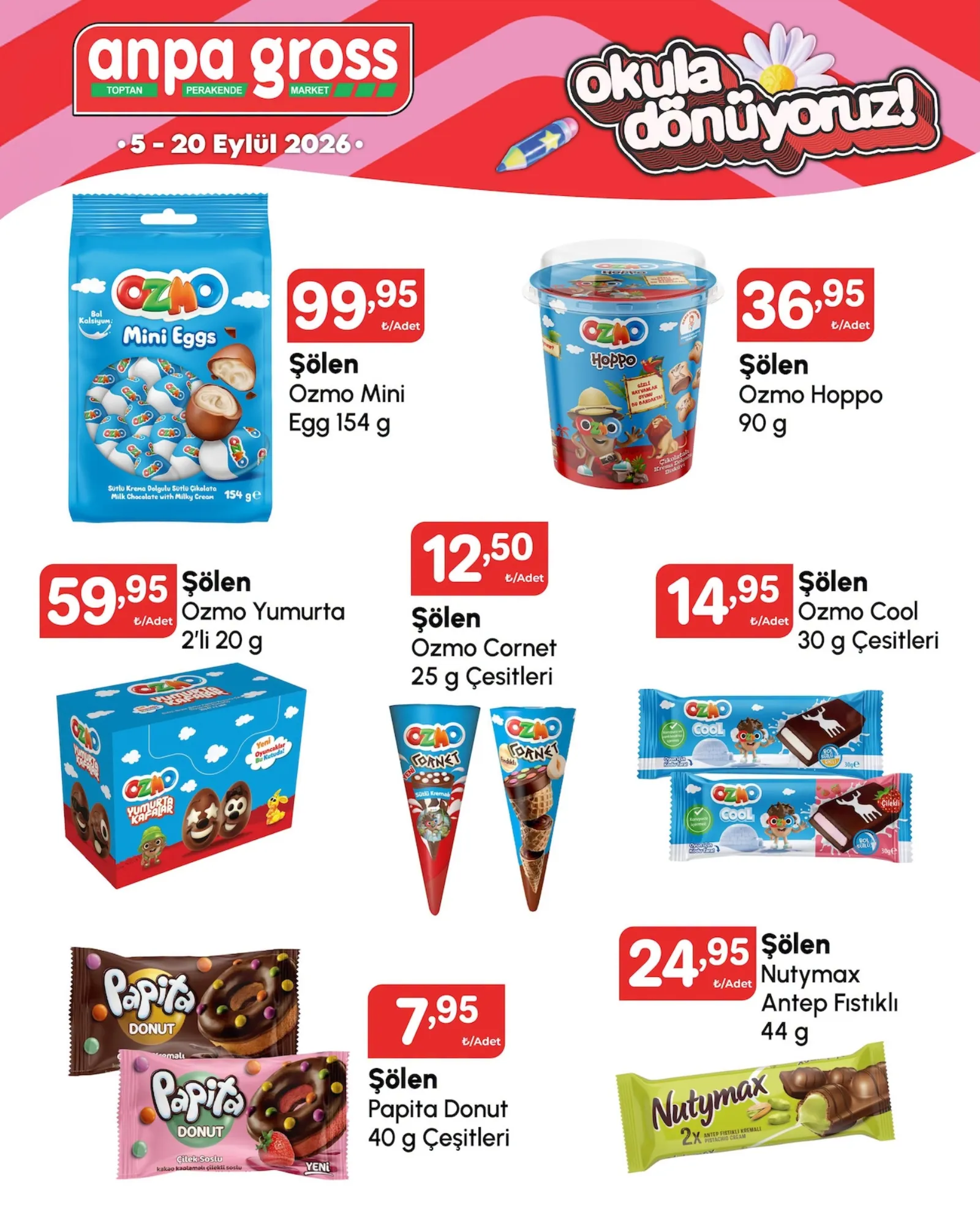 Anpa Gross broşürü sayfa 6