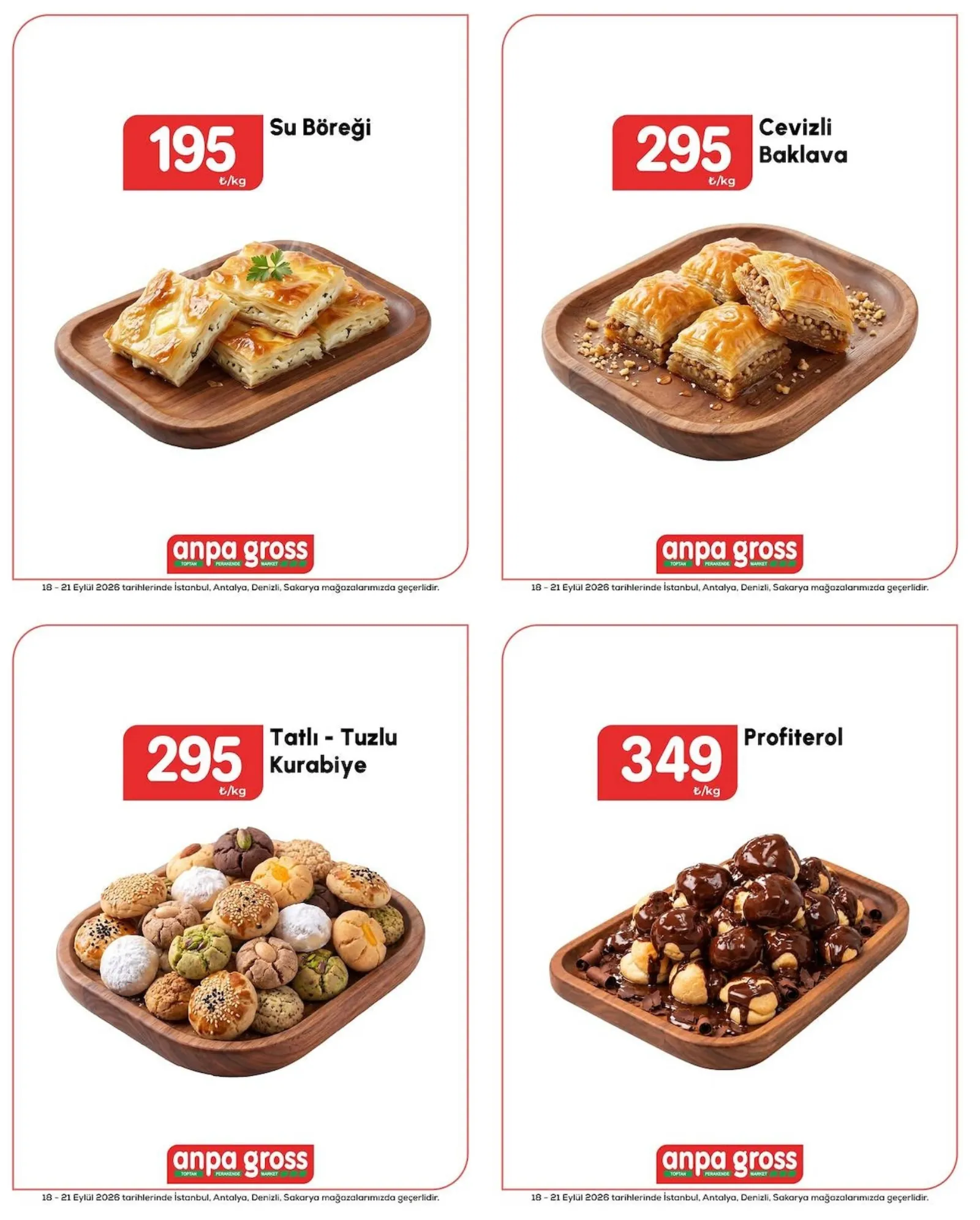 Anpa Gross broşürü sayfa 3