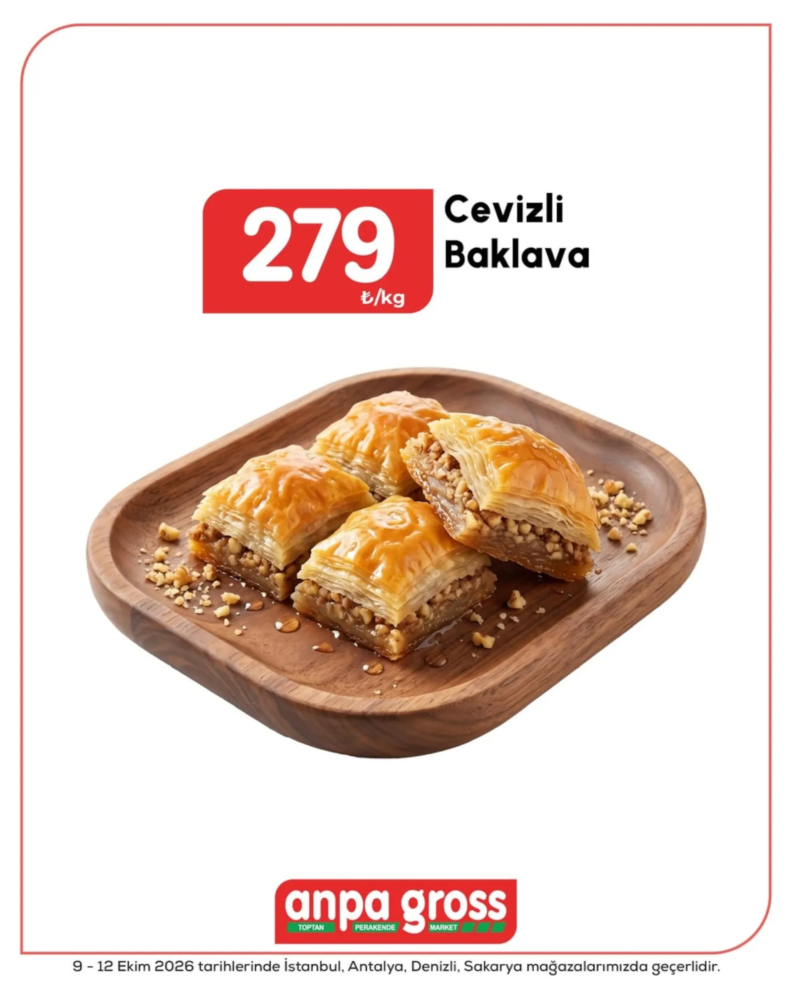 Anpa Gross broşürü sayfa 4