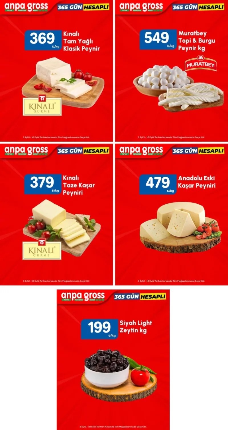 Anpa Gross broşürü
