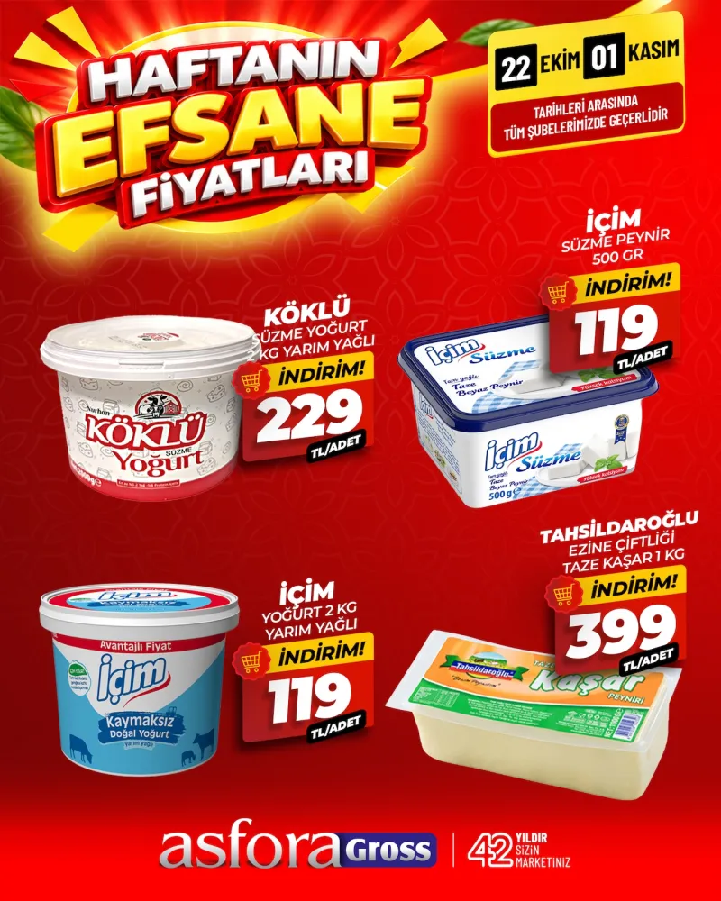 Asfora Gross broşürü sayfa 1