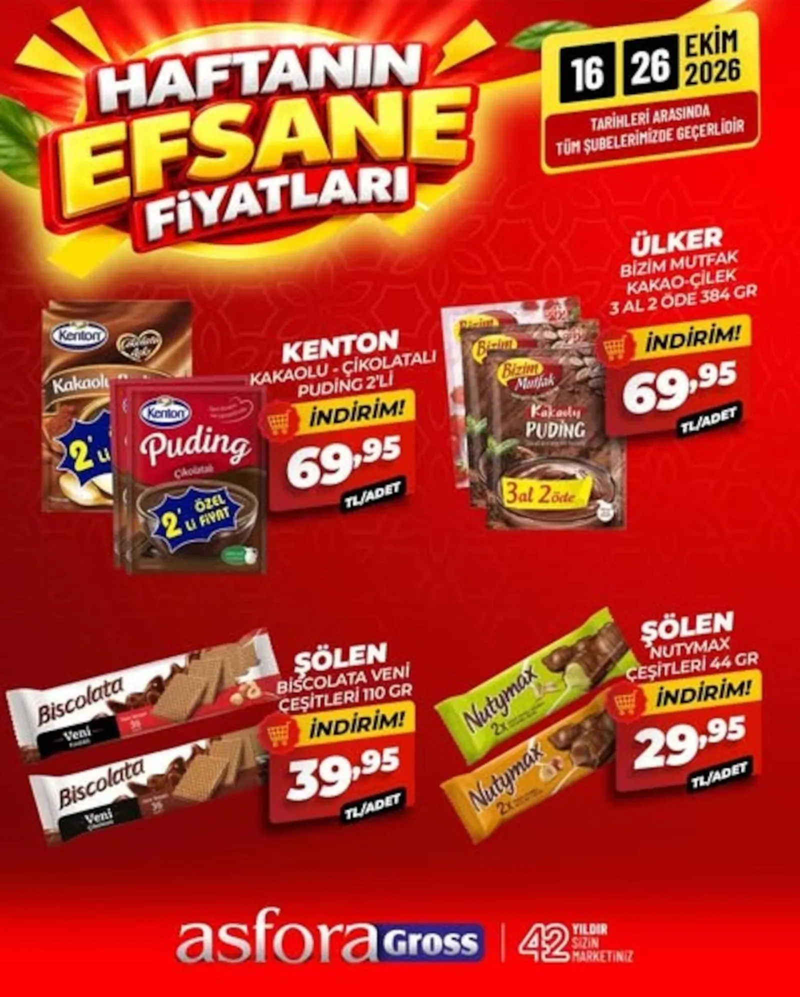Asfora Gross broşürü sayfa 11