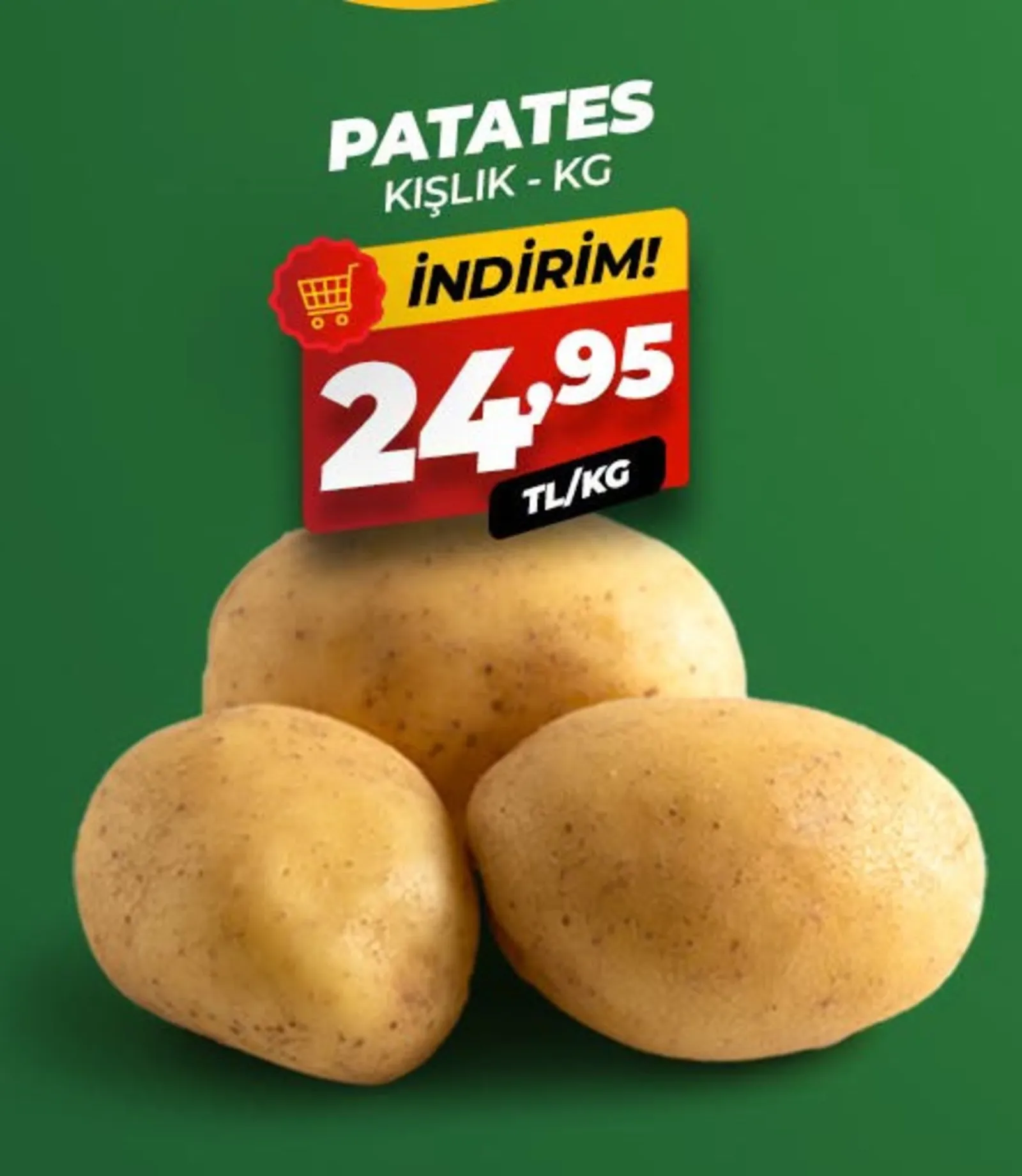 Asfora Gross broşürü sayfa 3