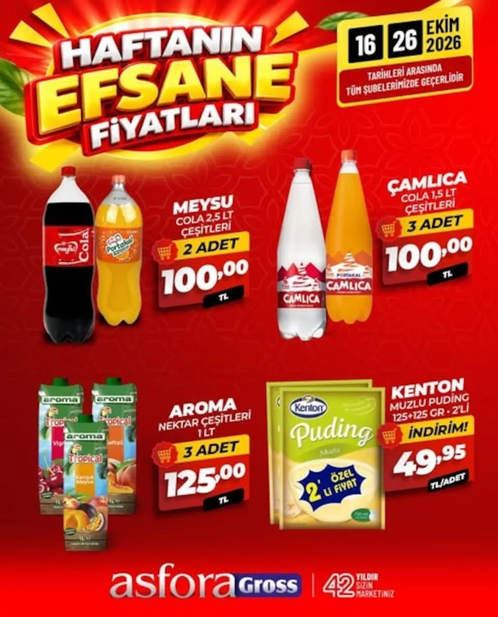 Asfora Gross broşürü sayfa 9