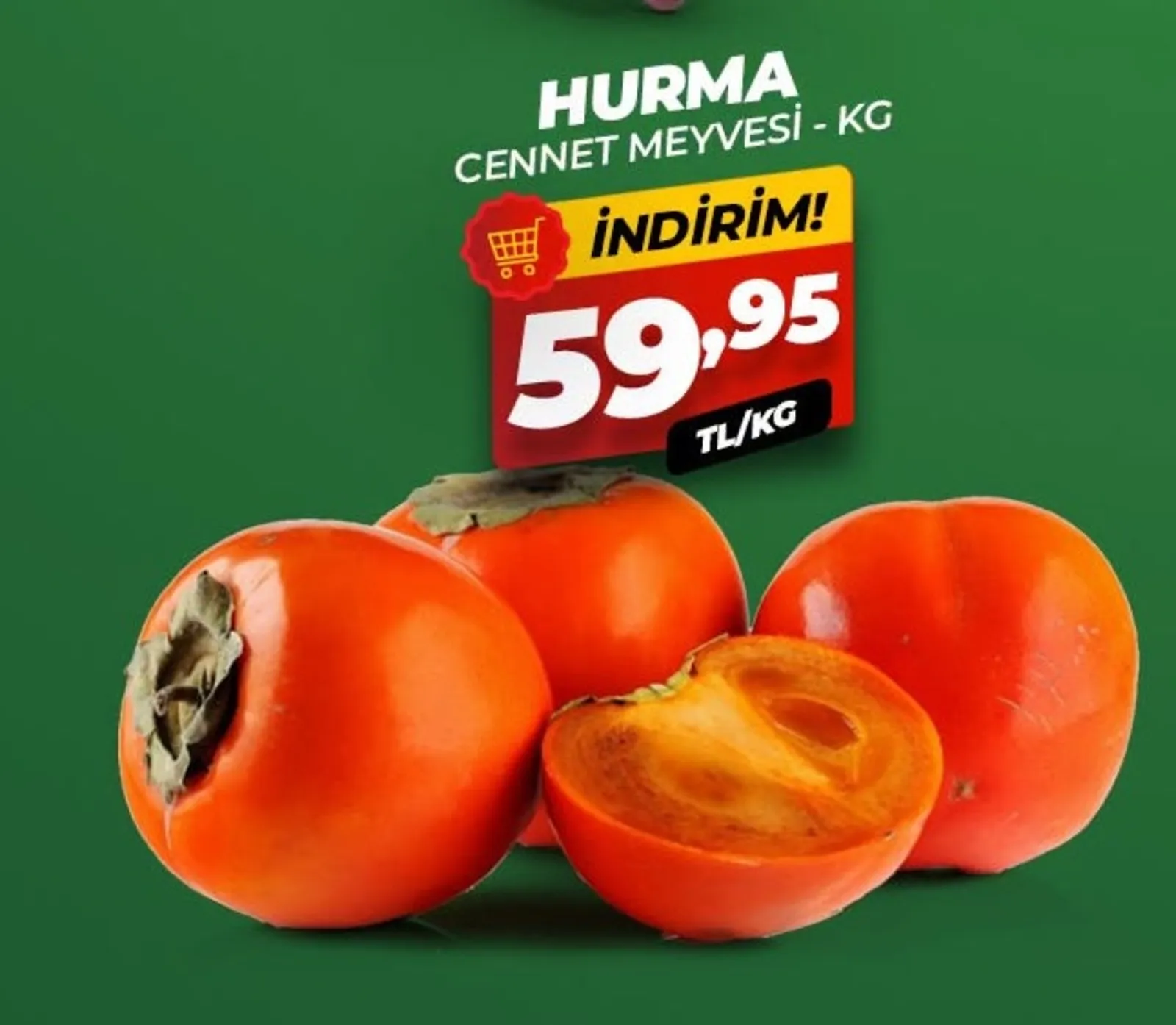 Asfora Gross broşürü sayfa 10