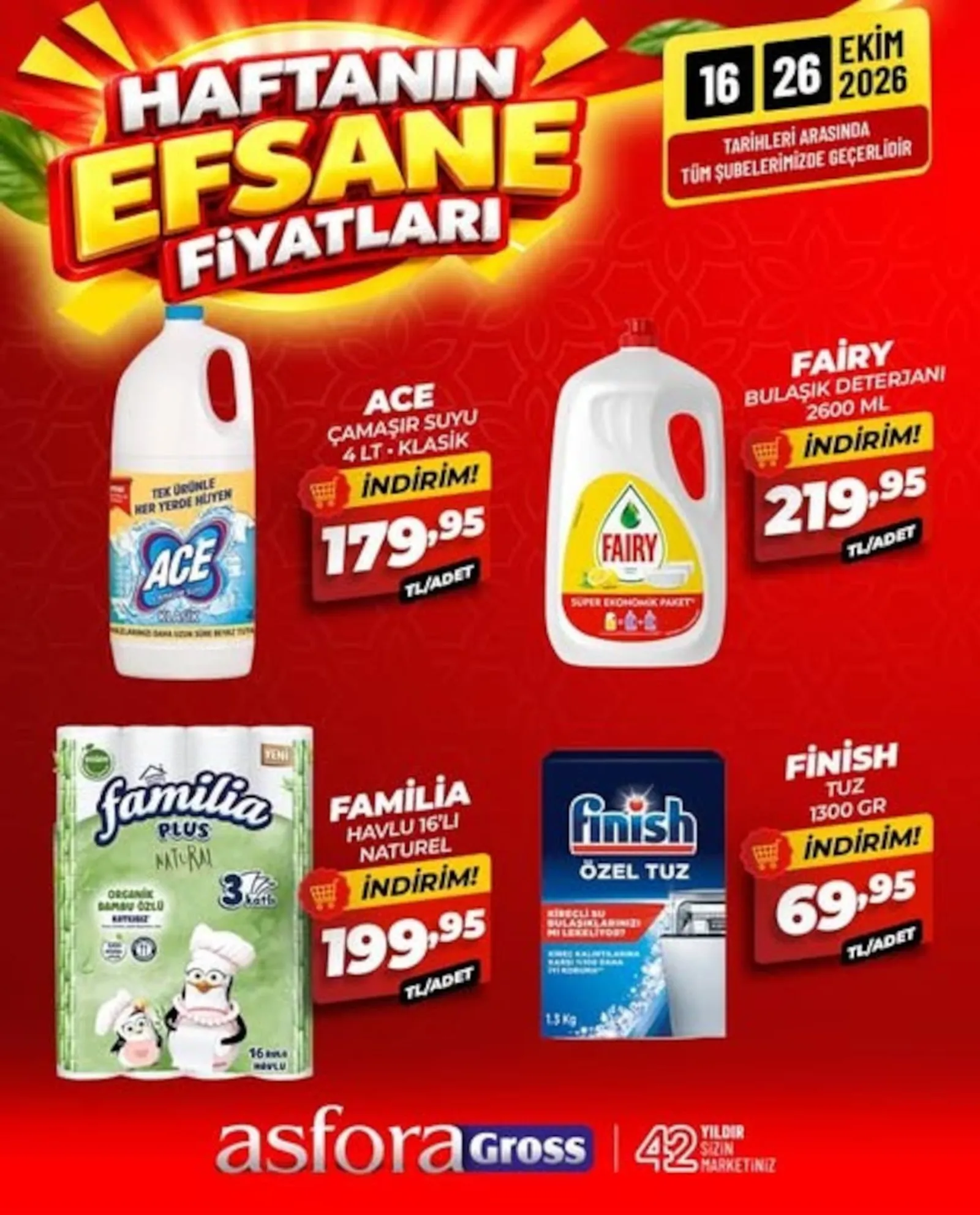Asfora Gross broşürü sayfa 2