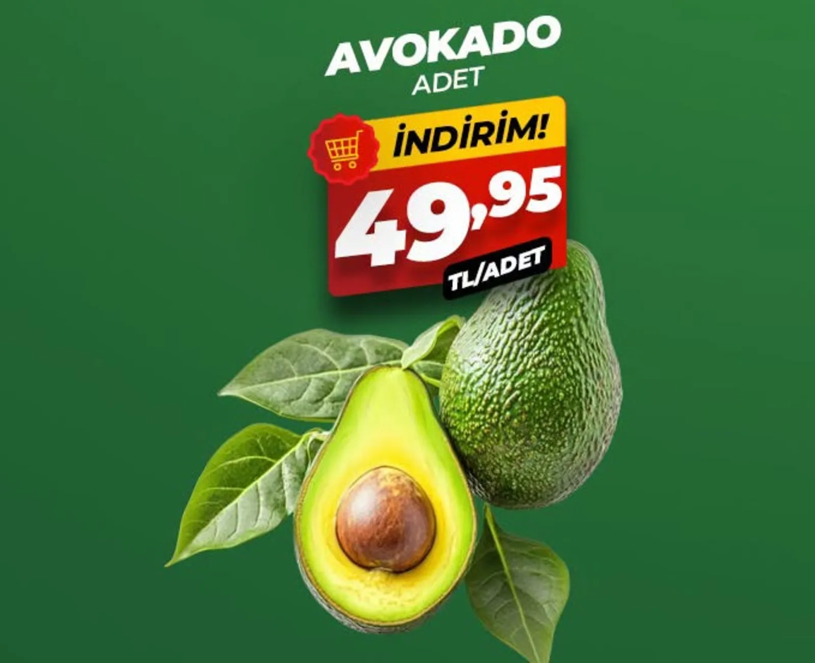 Asfora Gross broşürü sayfa 5