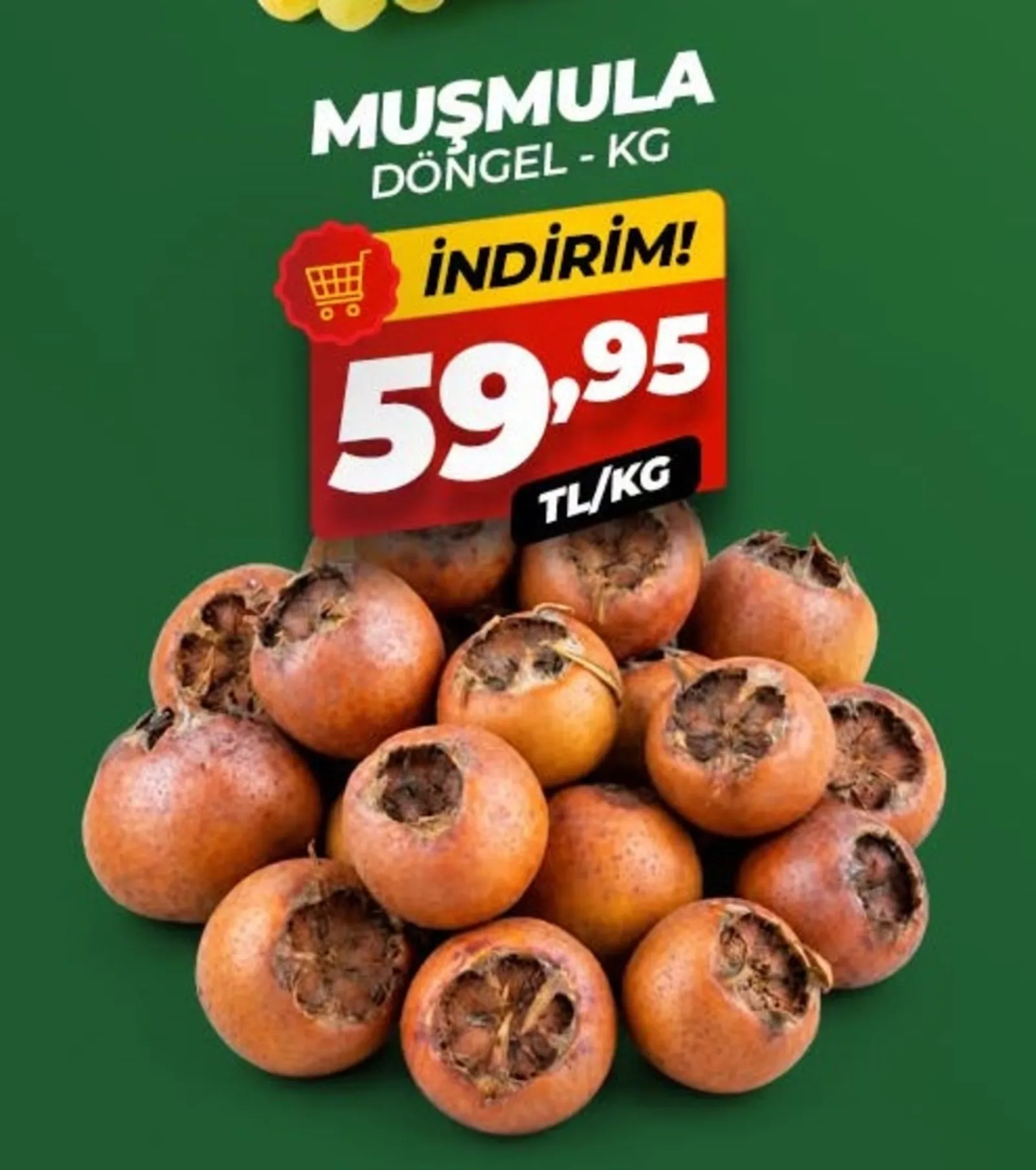 Asfora Gross broşürü sayfa 9