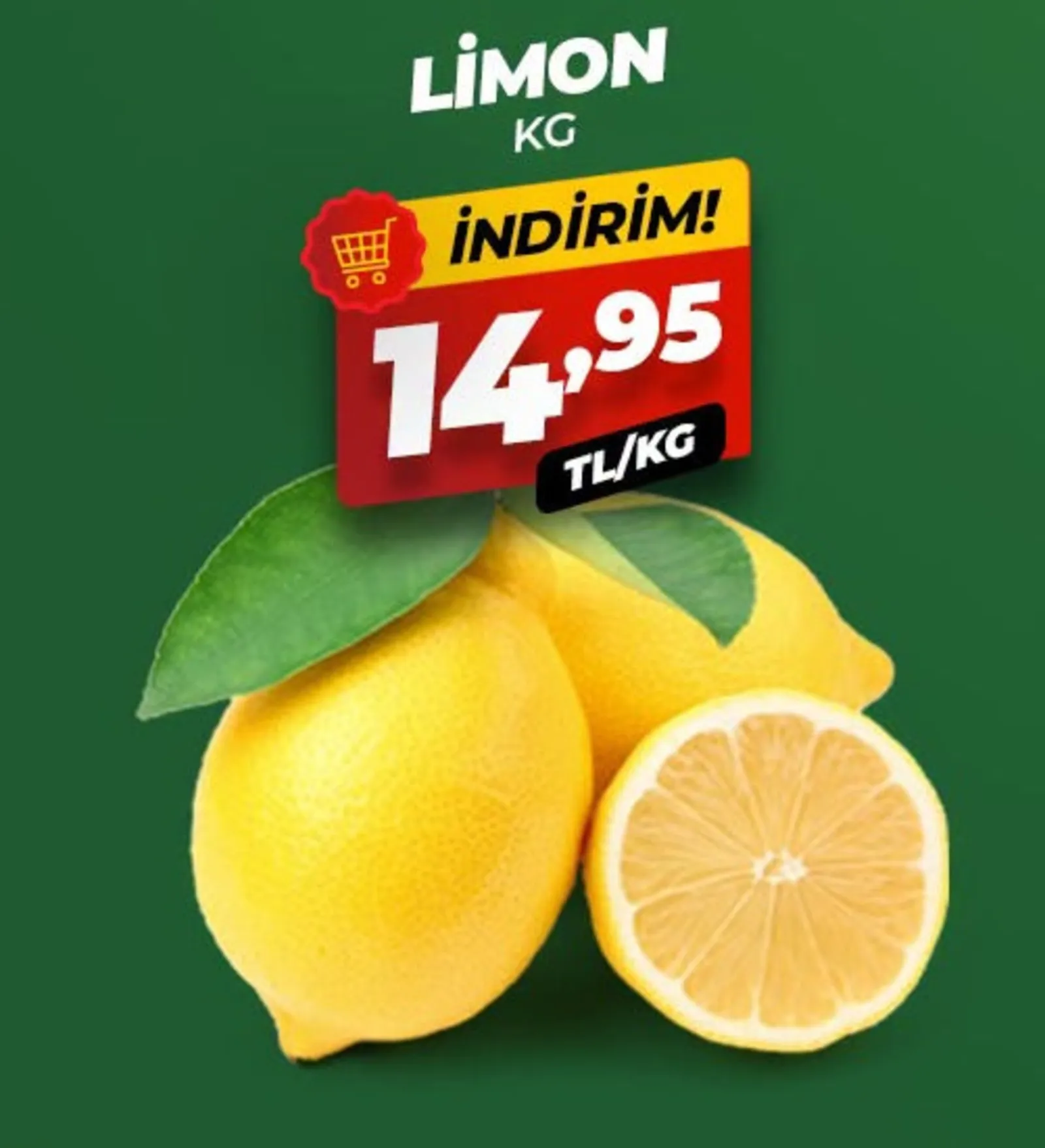 Asfora Gross broşürü sayfa 2