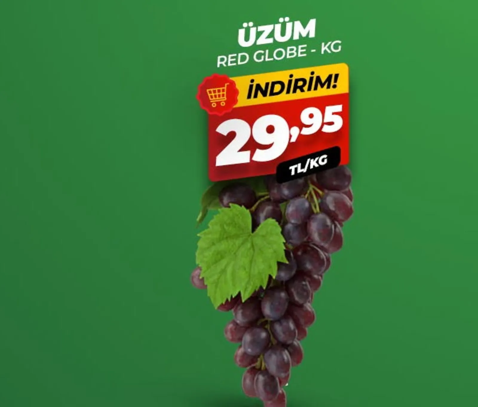Asfora Gross broşürü sayfa 8