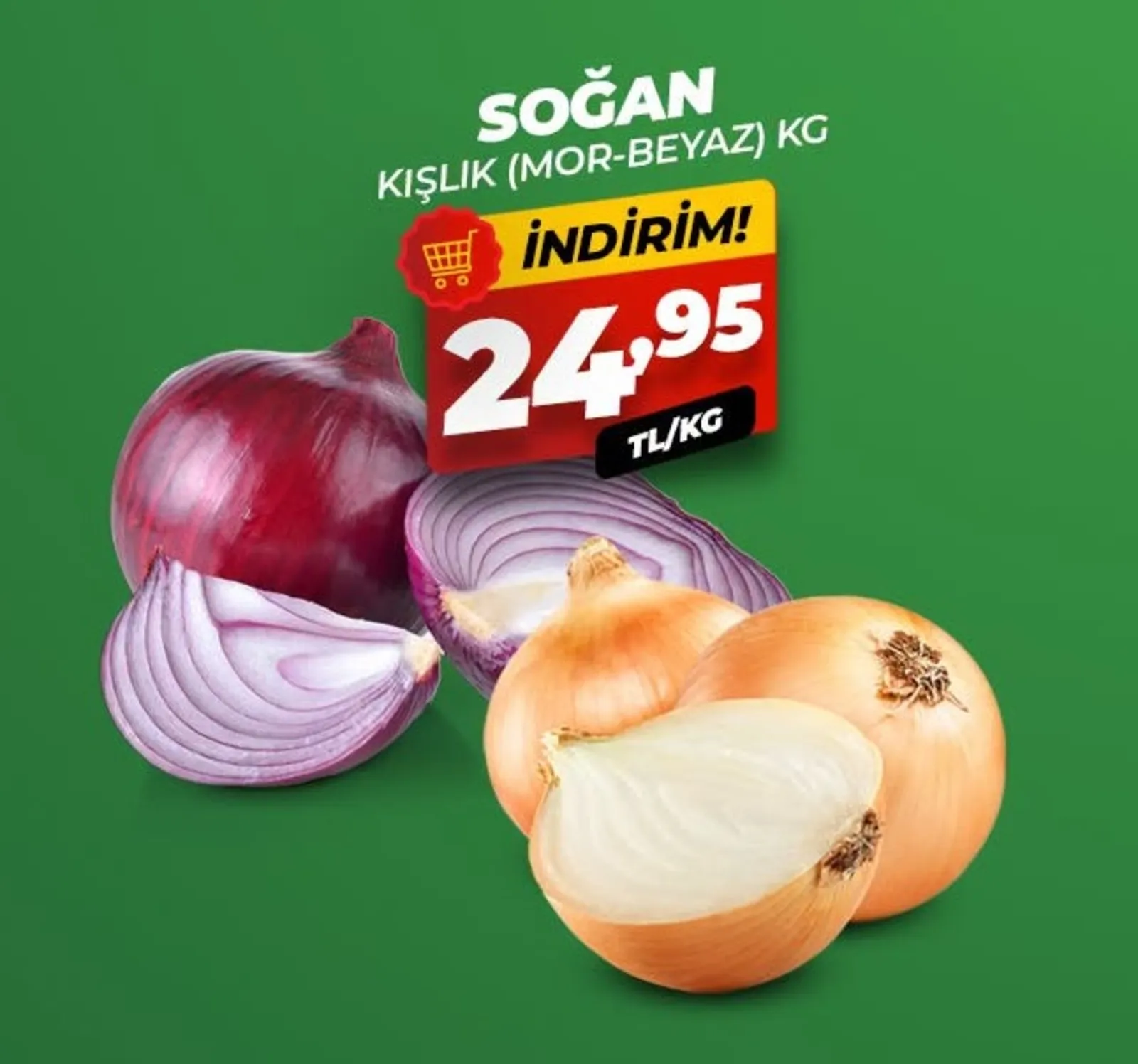 Asfora Gross broşürü sayfa 4
