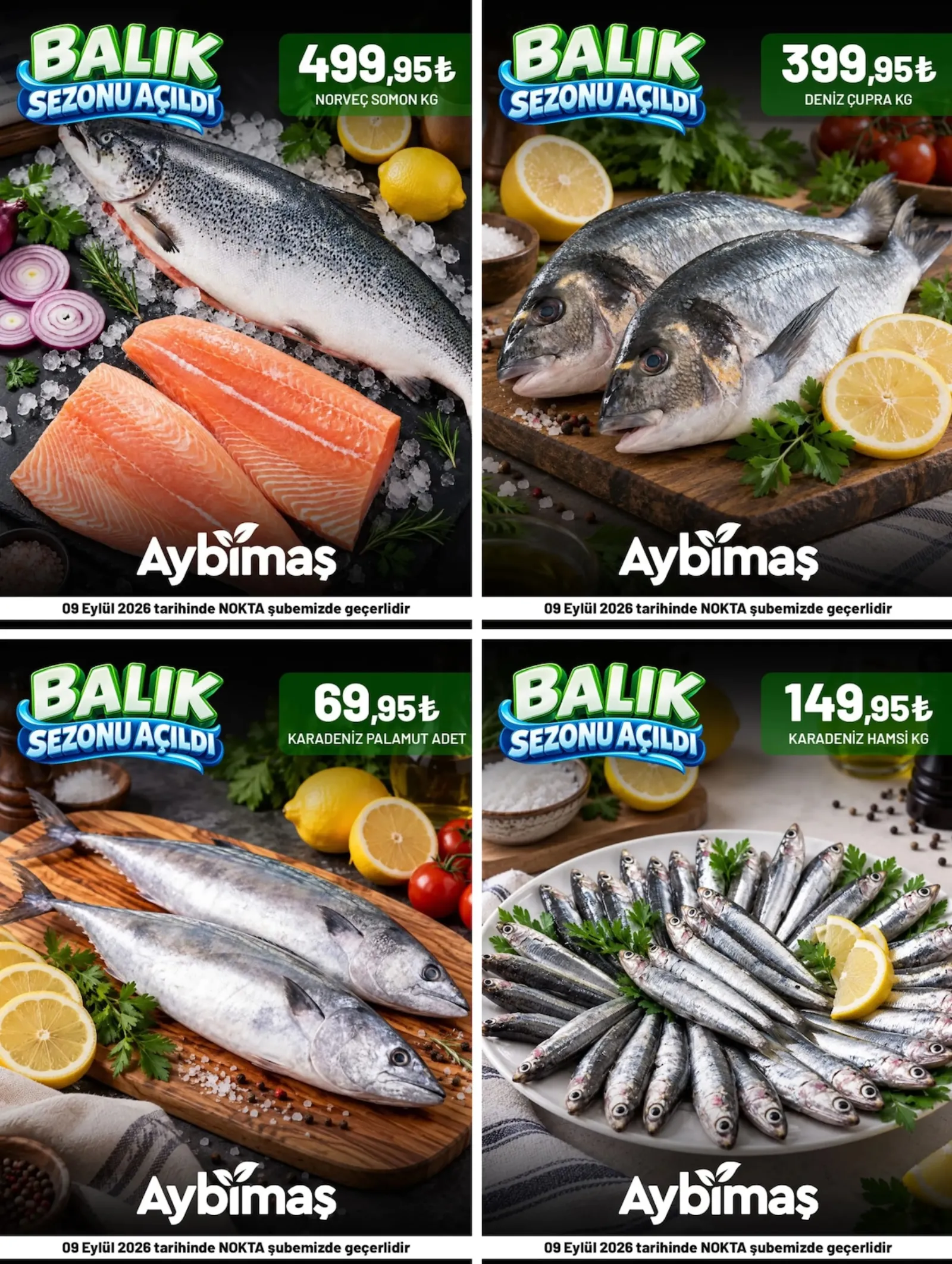 Aybimaş broşürü sayfa 1