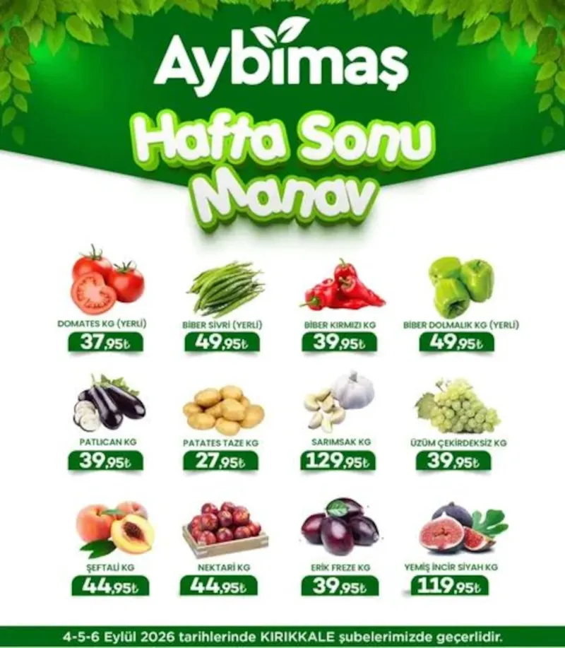 Aybimaş broşürü
