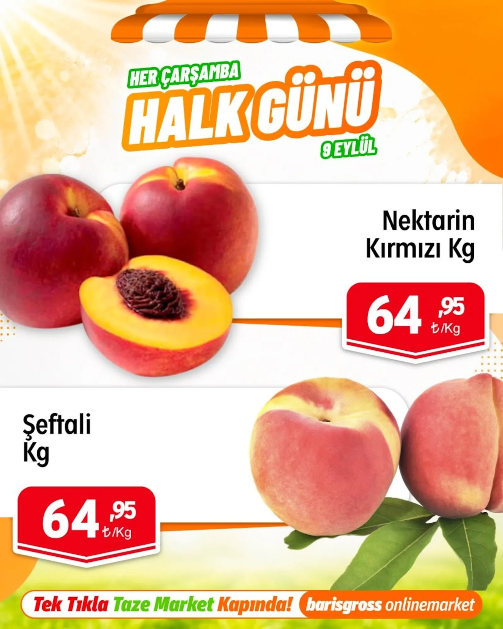 Barış Gross broşürü sayfa 2