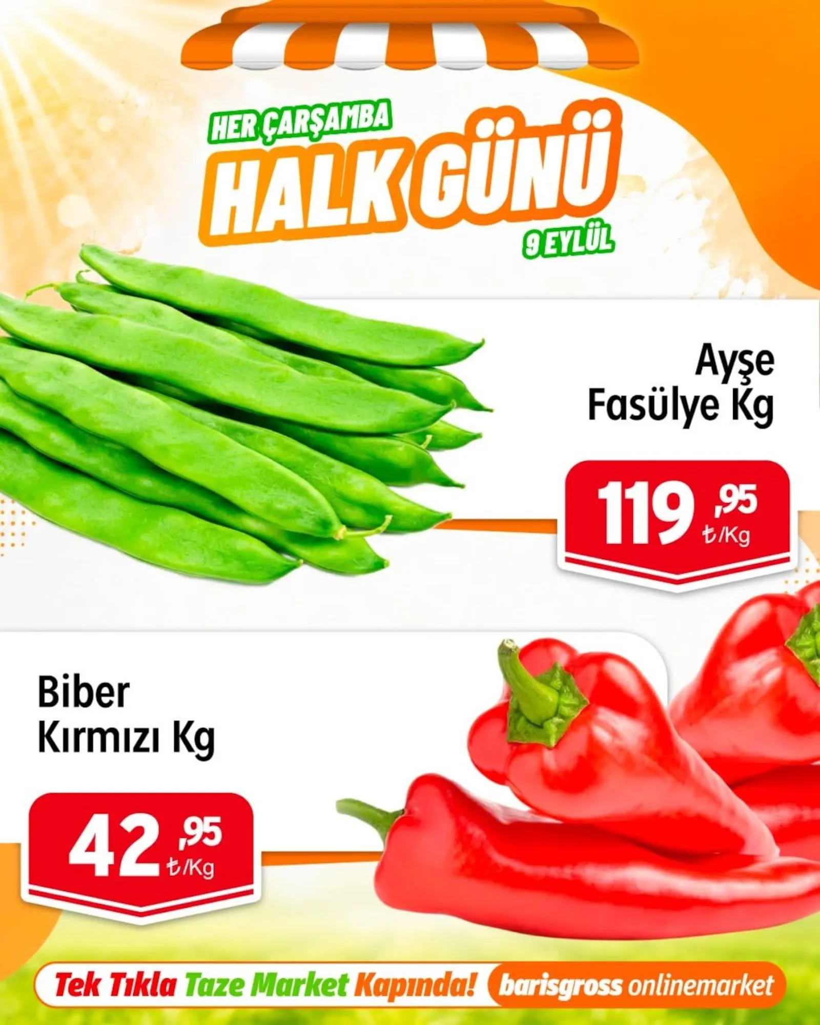 Barış Gross broşürü sayfa 6