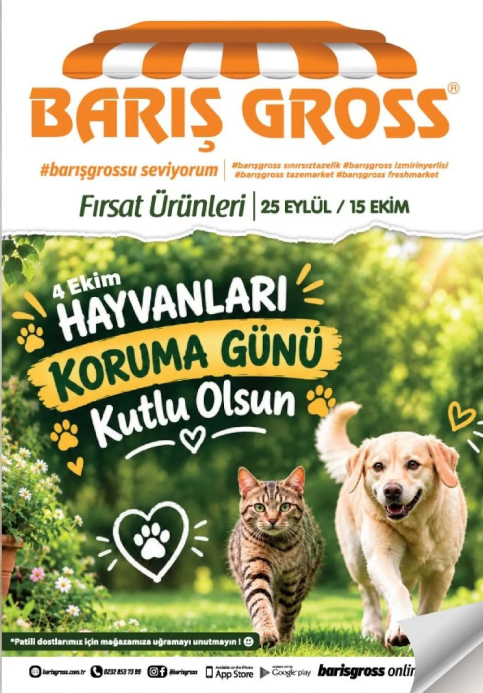 Barış Gross broşürü sayfa 1
