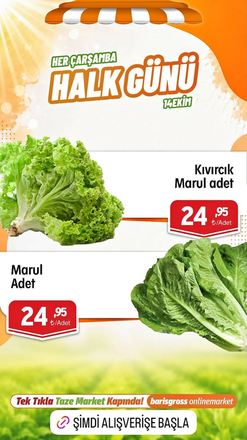 Barış Gross broşürü sayfa 1