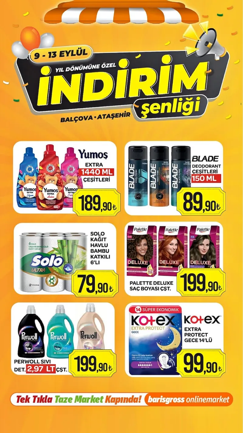 Barış Gross broşürü