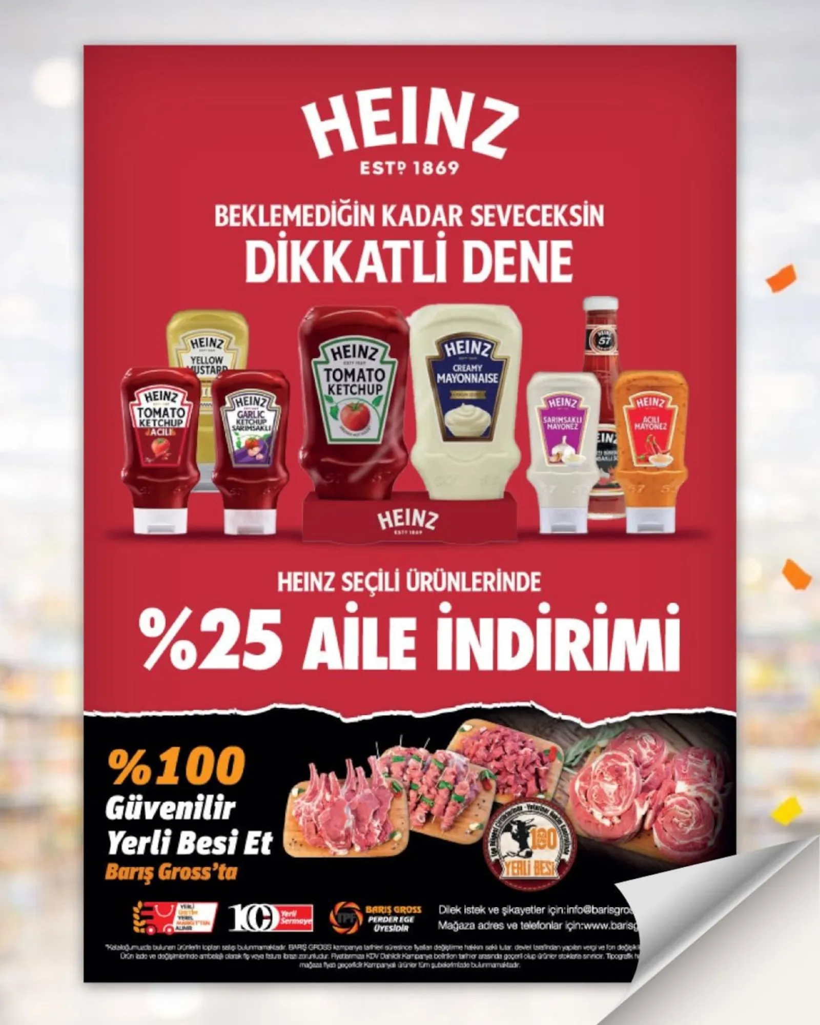 Barış Gross broşürü sayfa 8
