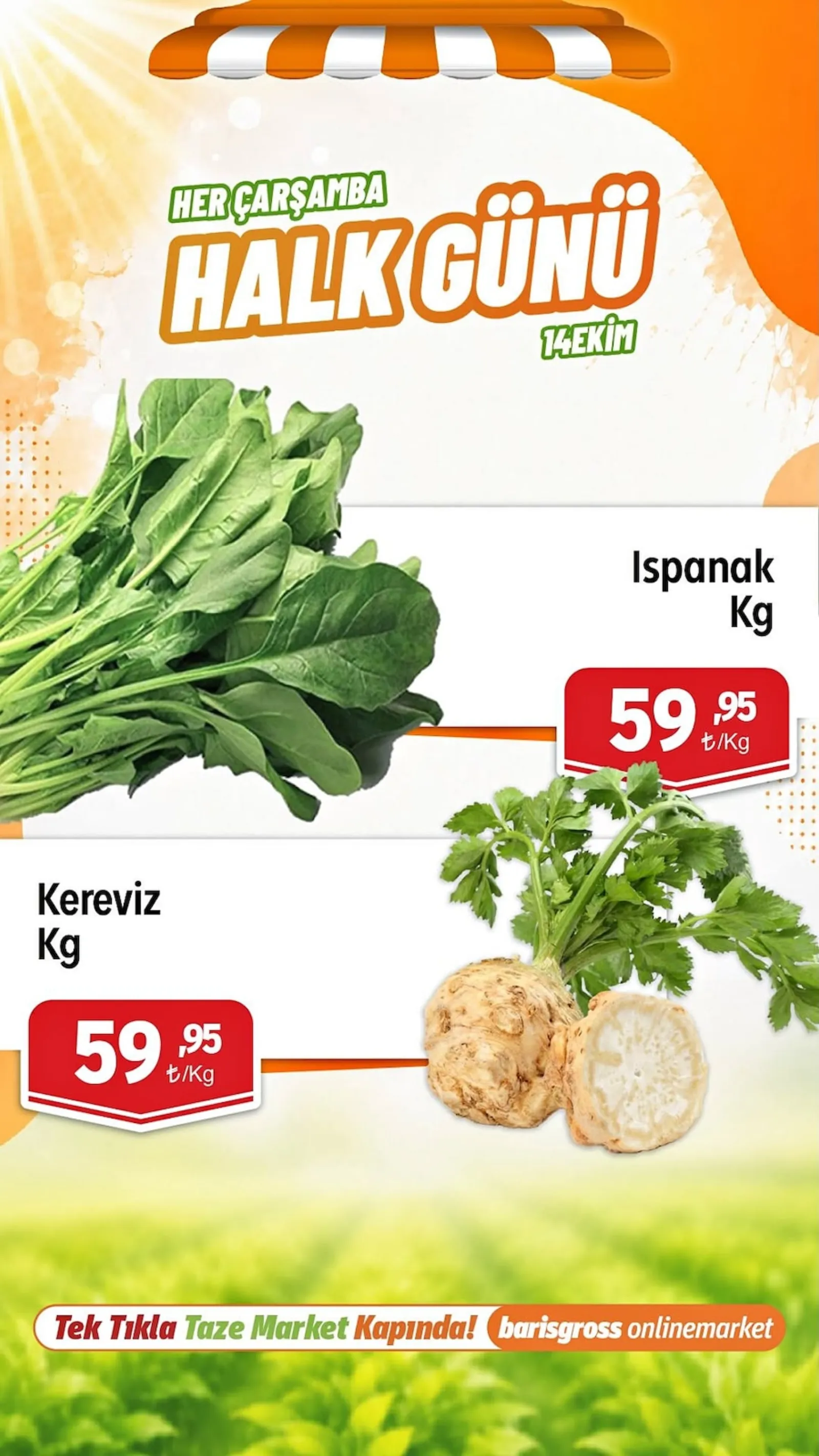 Barış Gross broşürü sayfa 5