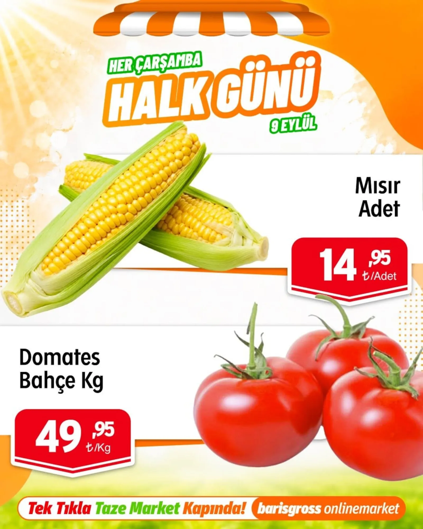 Barış Gross broşürü