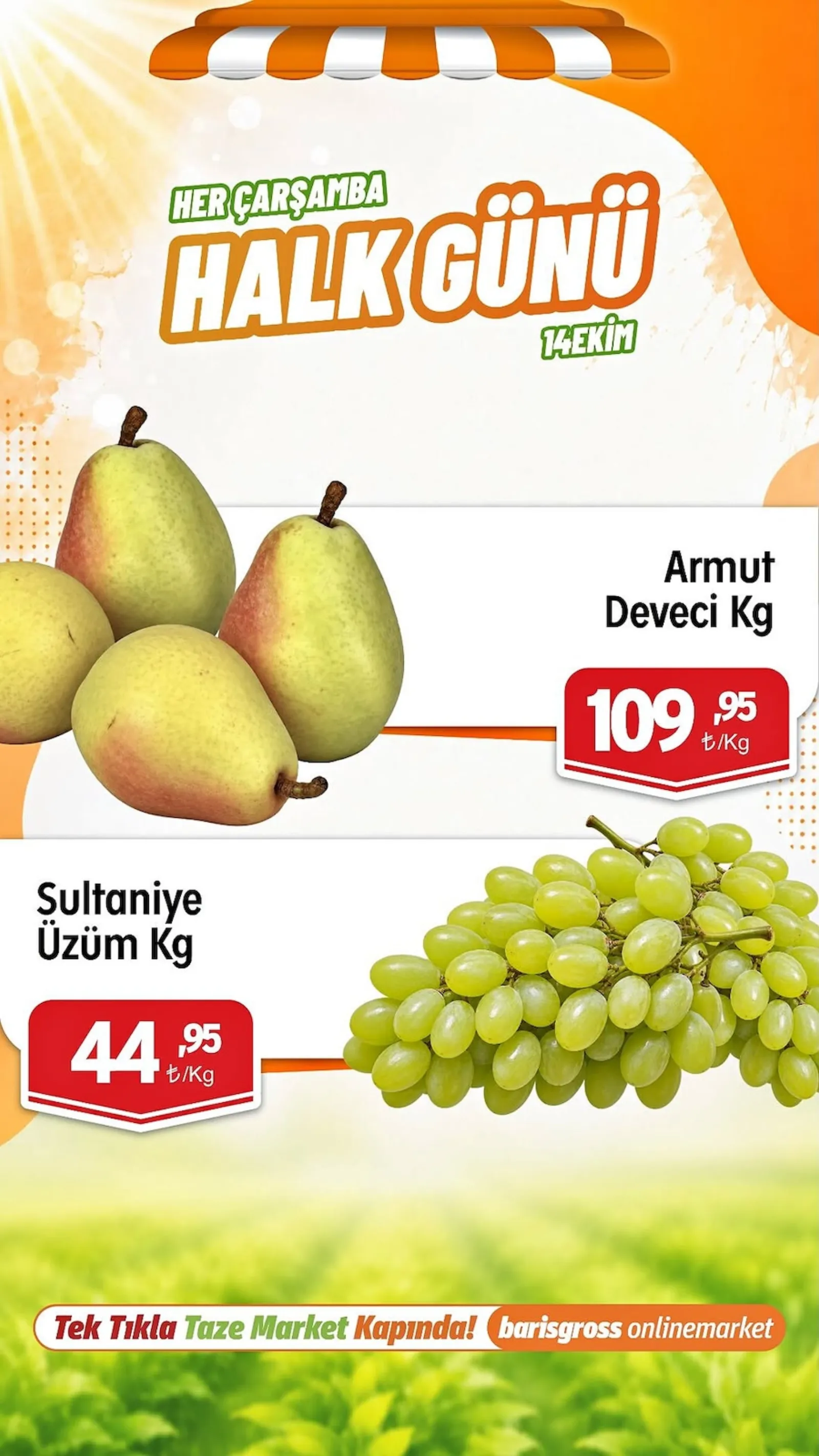 Barış Gross broşürü sayfa 3