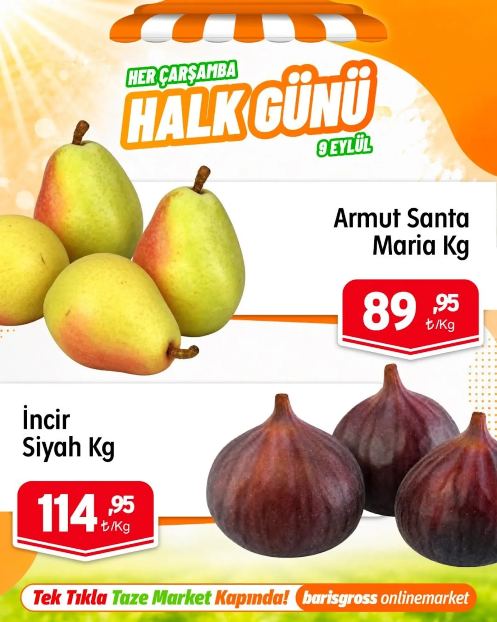 Barış Gross broşürü sayfa 4