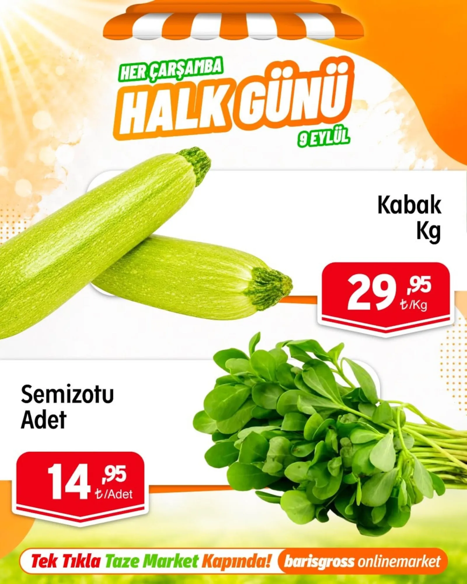 Barış Gross broşürü sayfa 3