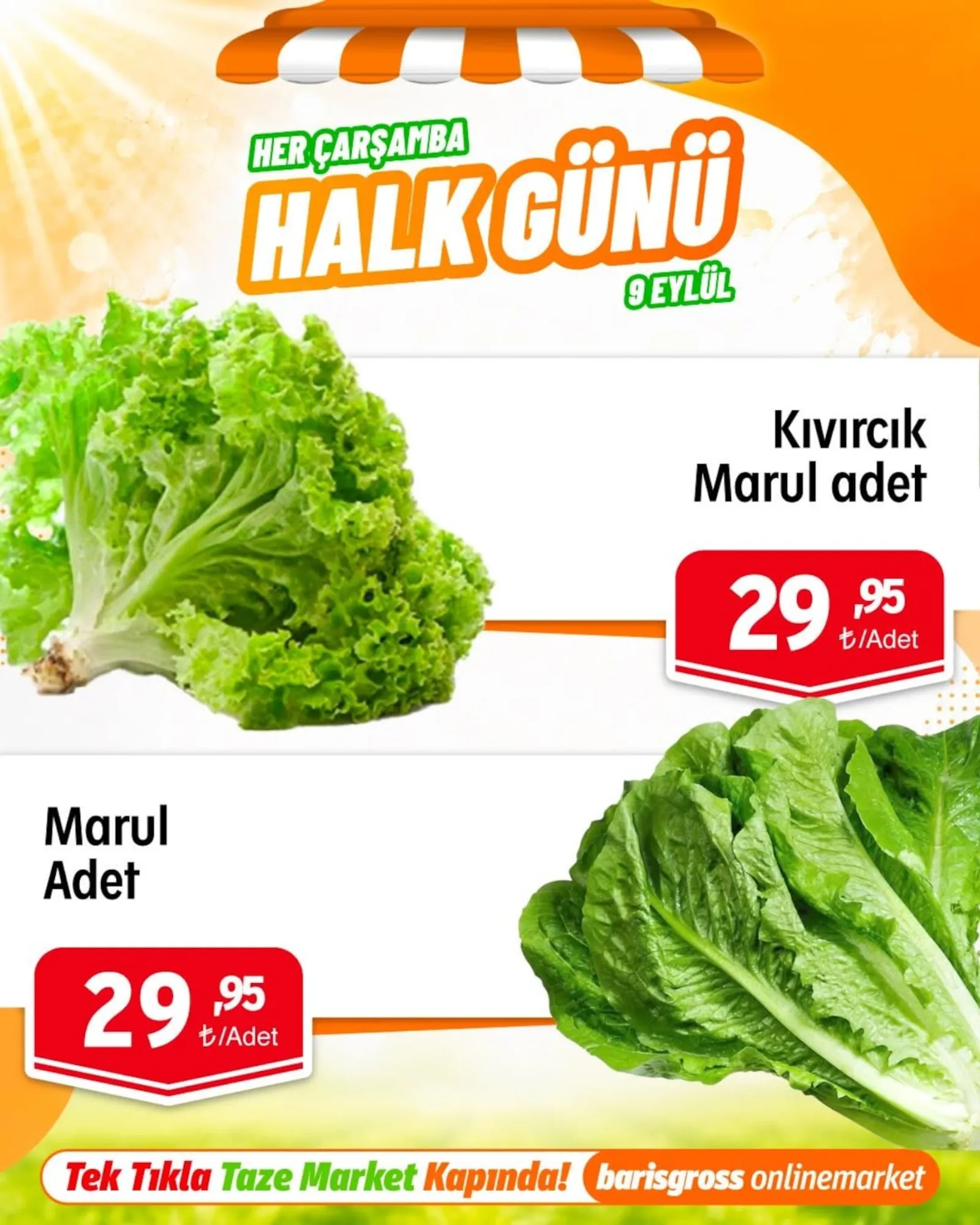 Barış Gross broşürü sayfa 8