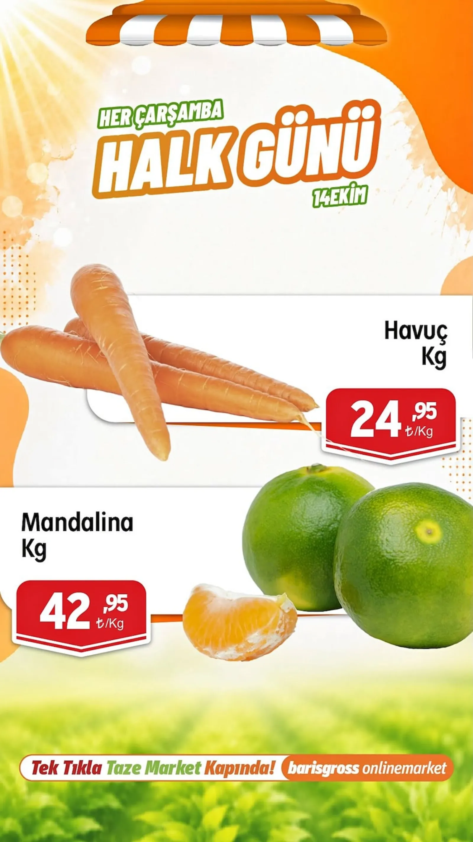 Barış Gross broşürü sayfa 6