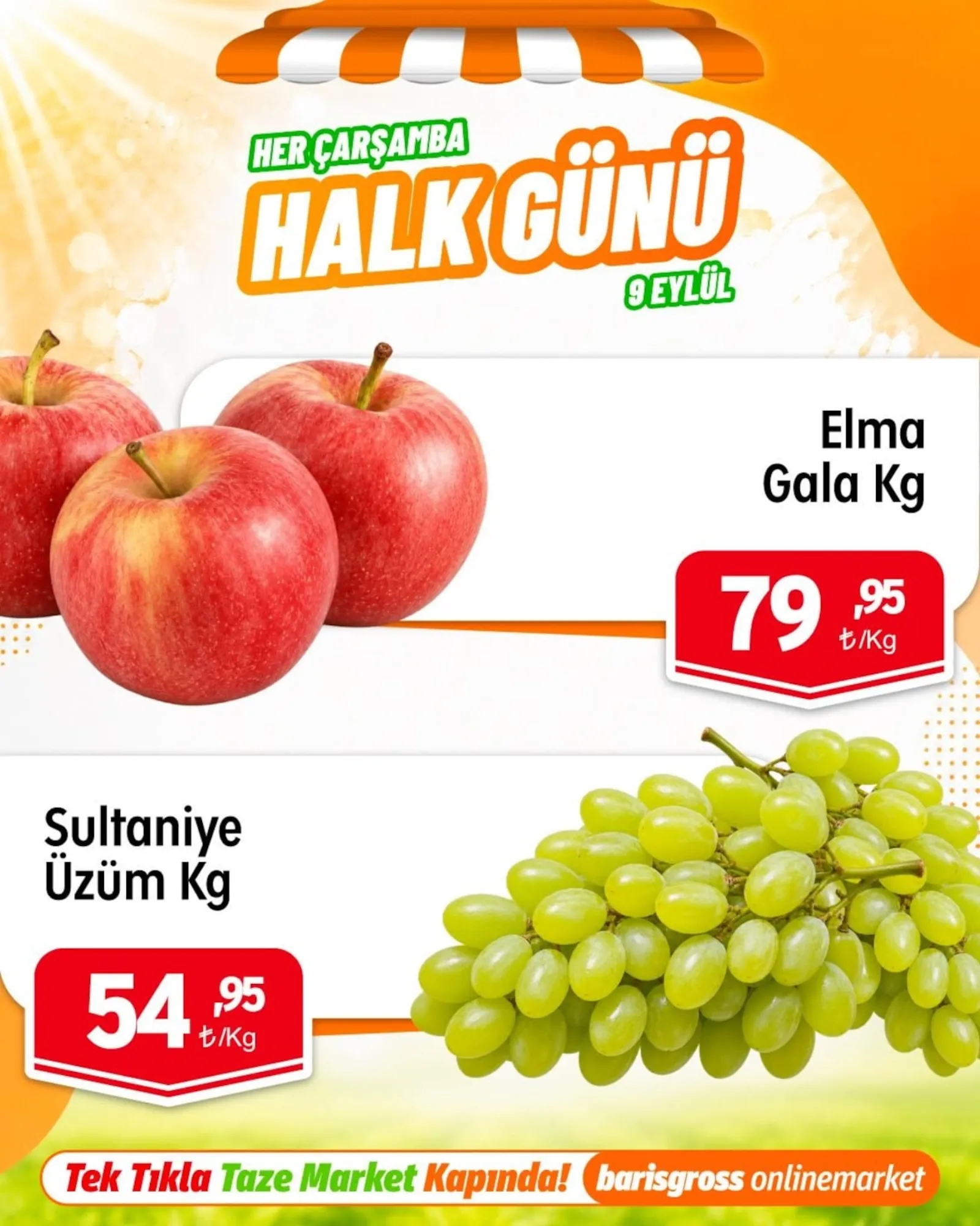 Barış Gross broşürü sayfa 7