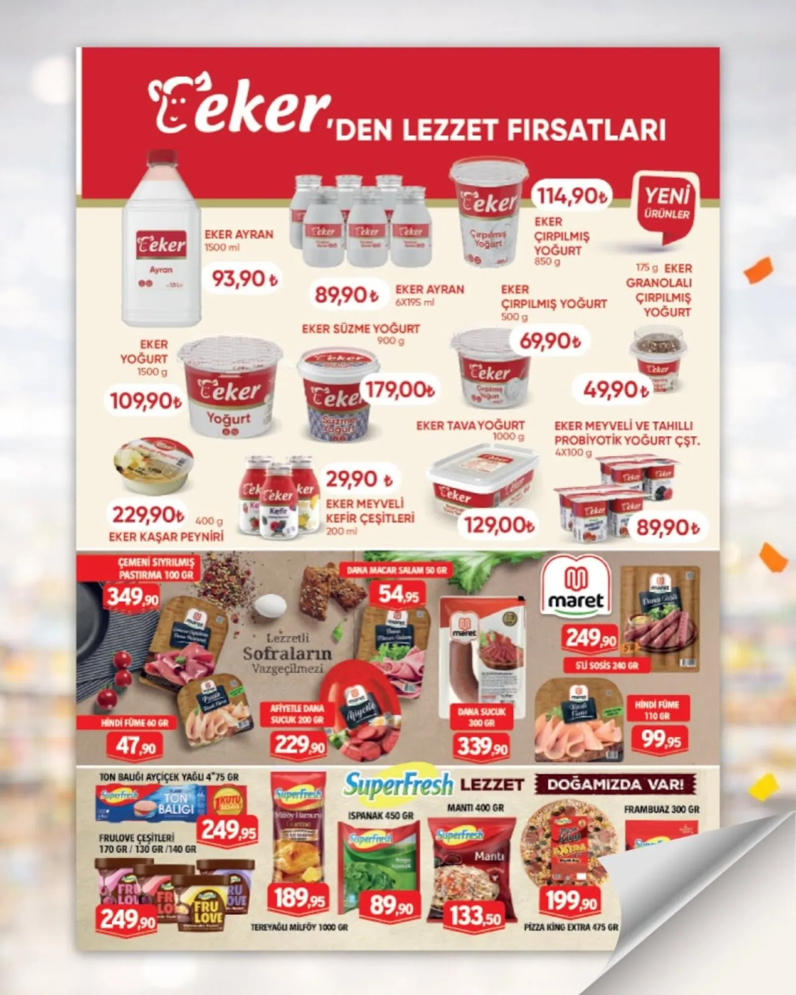 Barış Gross broşürü sayfa 2
