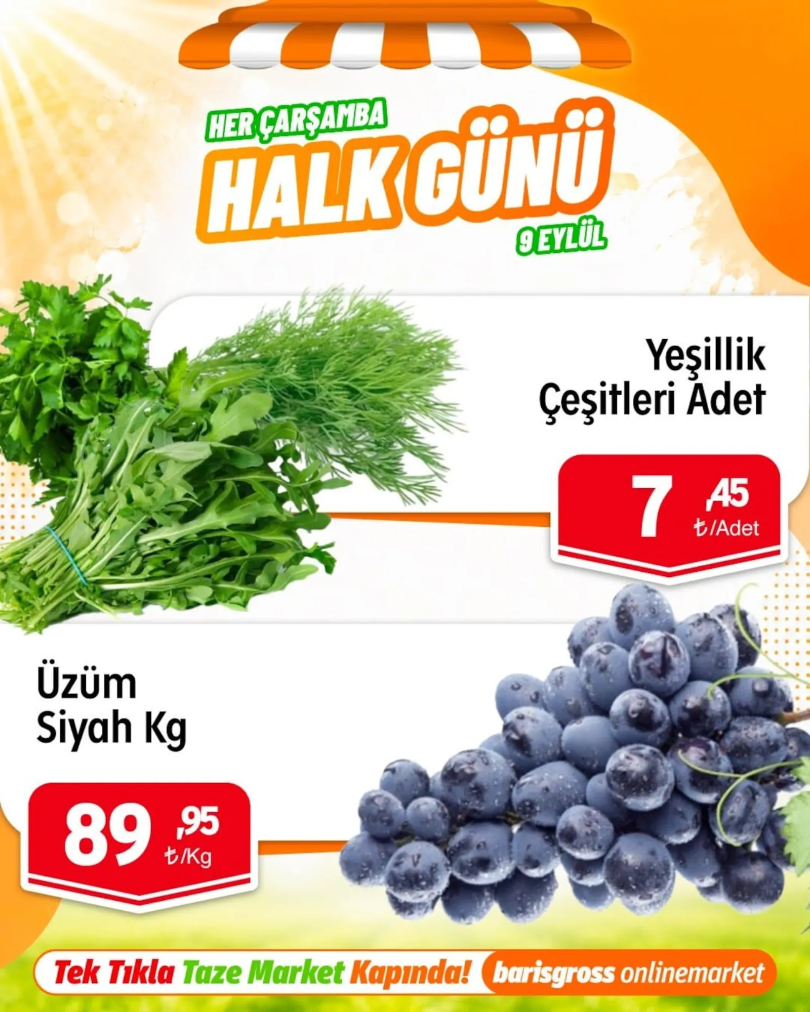 Barış Gross broşürü sayfa 9