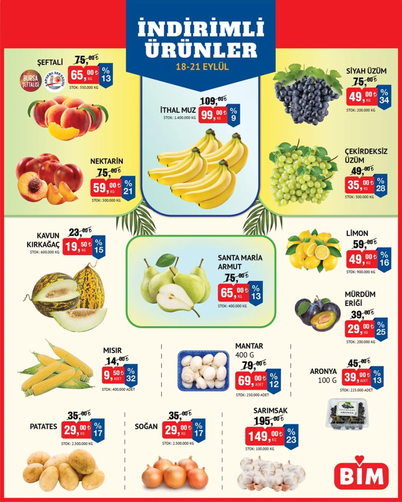 BİM broşürü sayfa 3