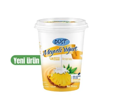 ANANASLI MEYVELİ YOĞURT