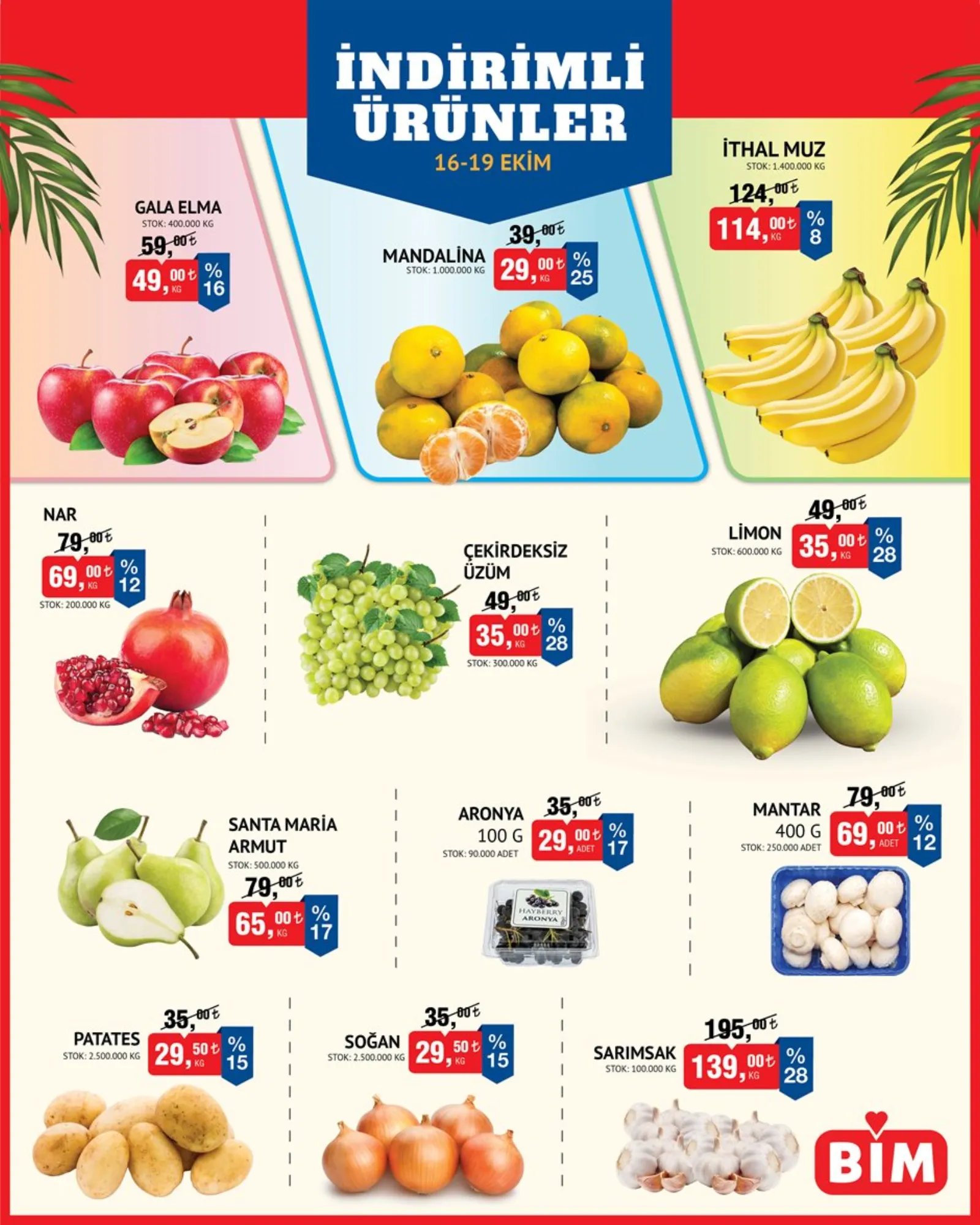 BİM broşürü sayfa 5