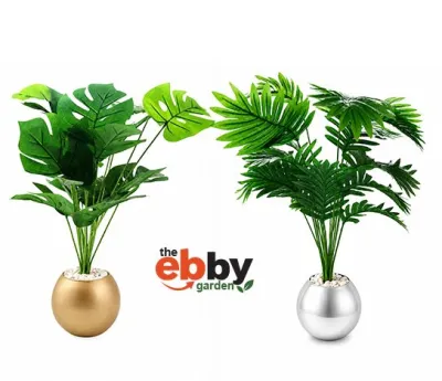 YAPAY SALON BİTKİLERİ