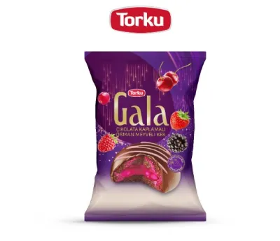 Çikolata Kaplamalı Orman Meyveli Kek	Gala