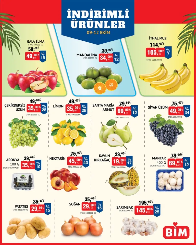 BİM broşürü sayfa 1