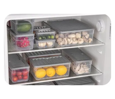 Dondurucu Saklama Kabı Çeşitleri ~2470 ml