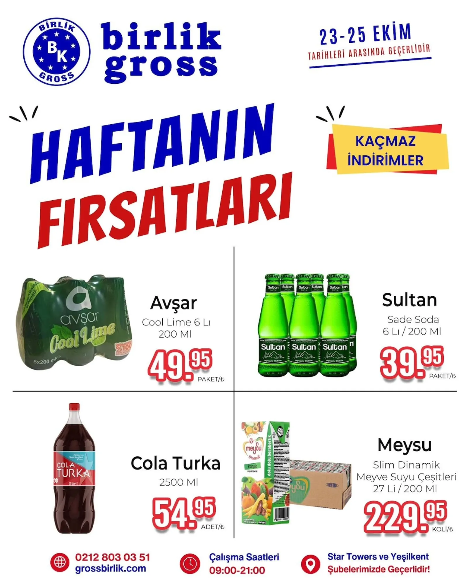 Birlik Gross broşürü sayfa 8