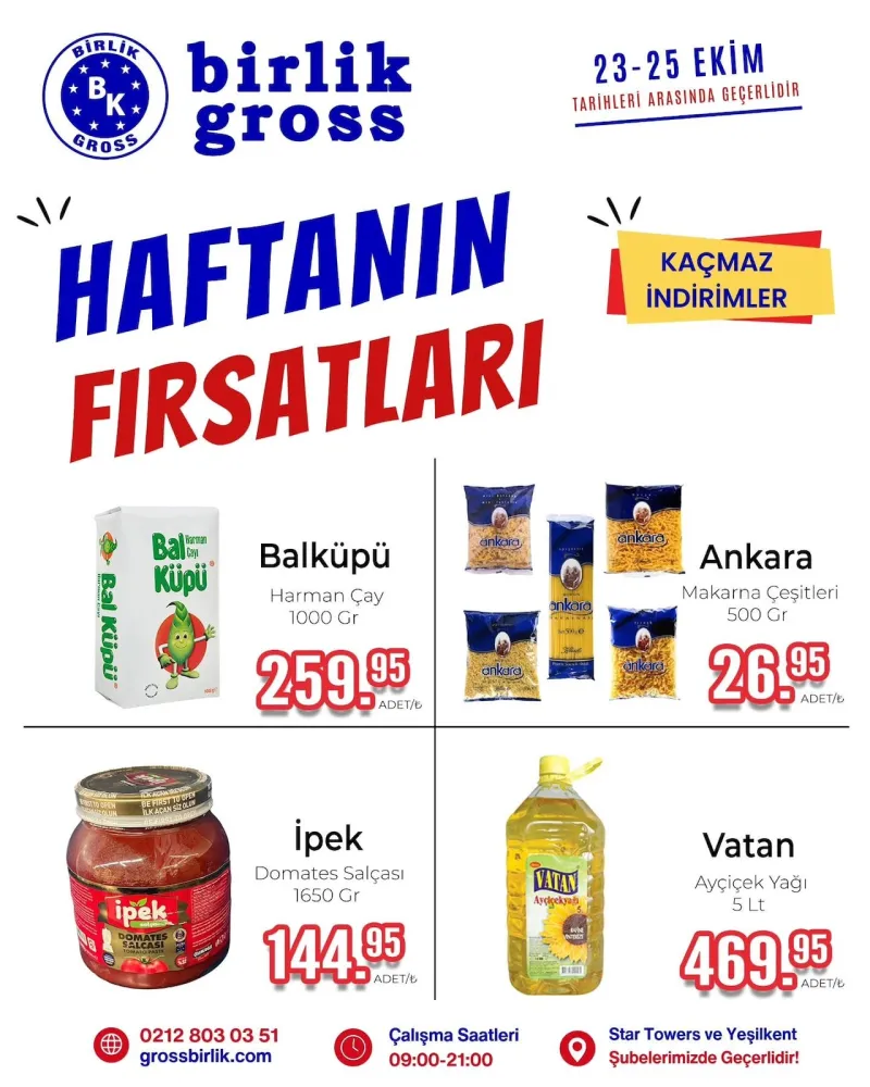 Birlik Gross broşürü