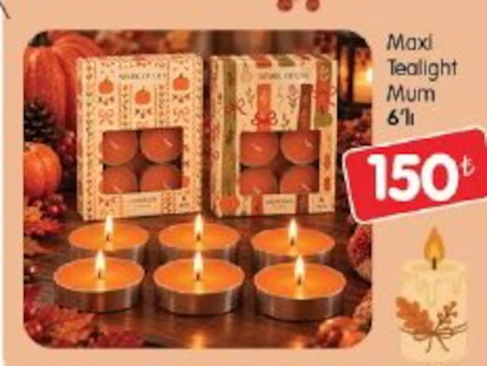 Bizim Gross broşürü sayfa 81