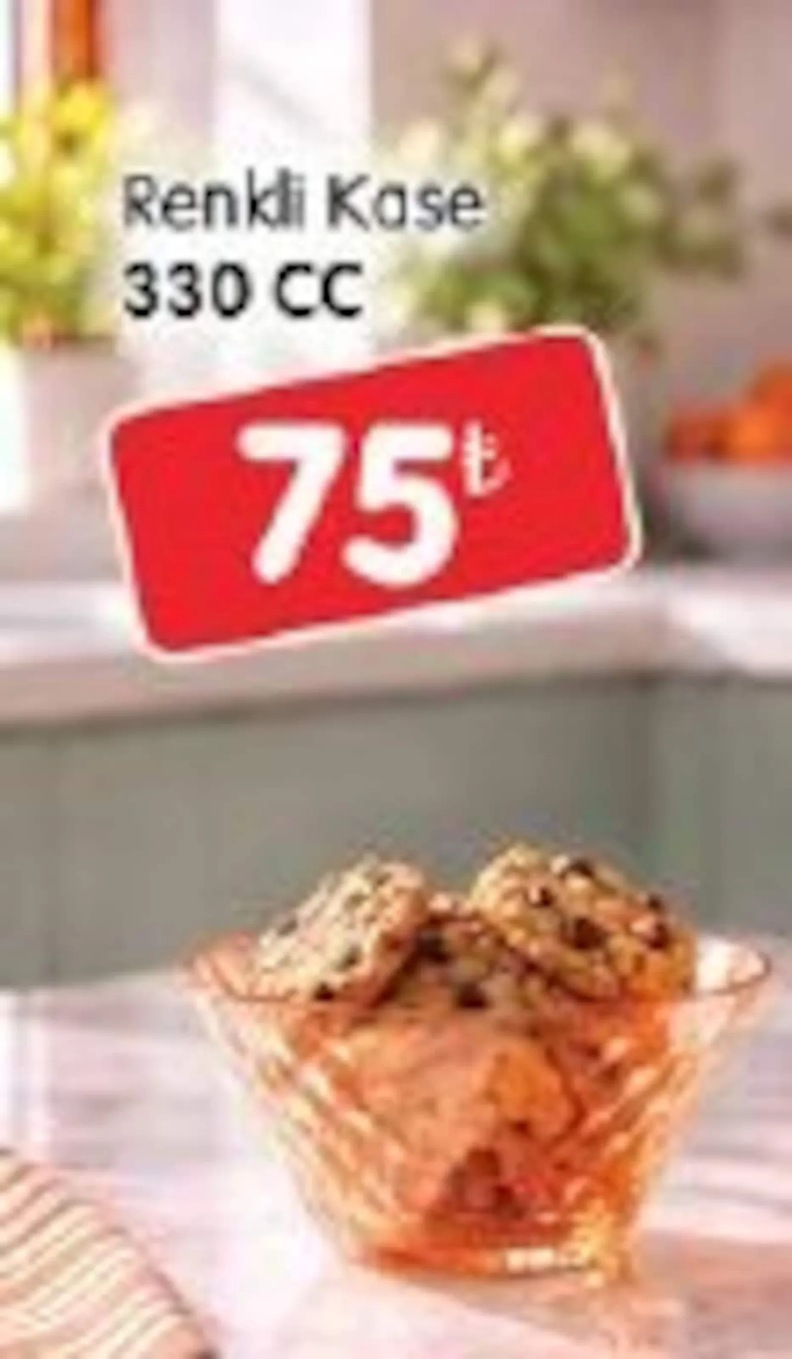 Bizim Gross broşürü sayfa 72