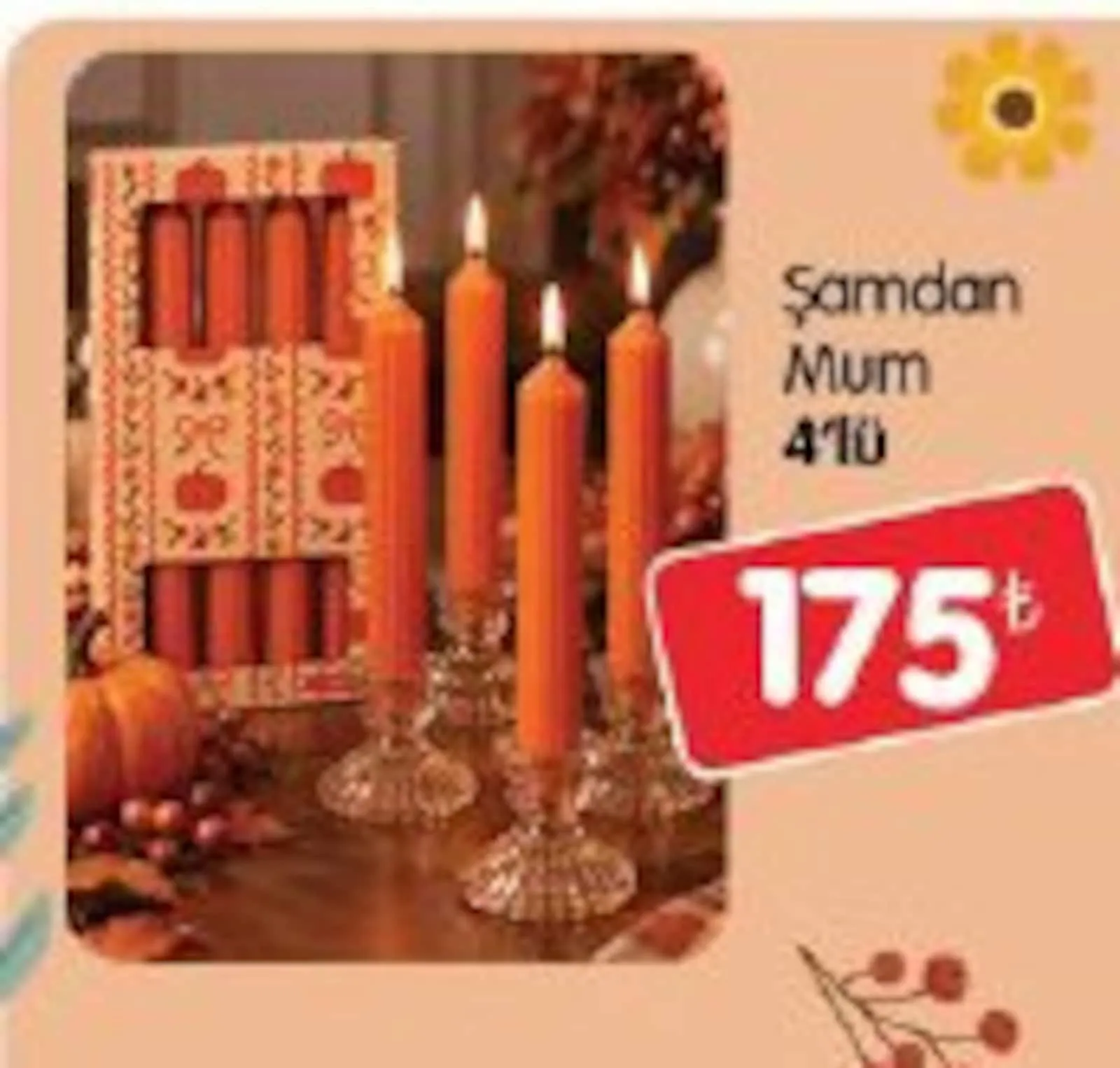 Bizim Gross broşürü sayfa 83