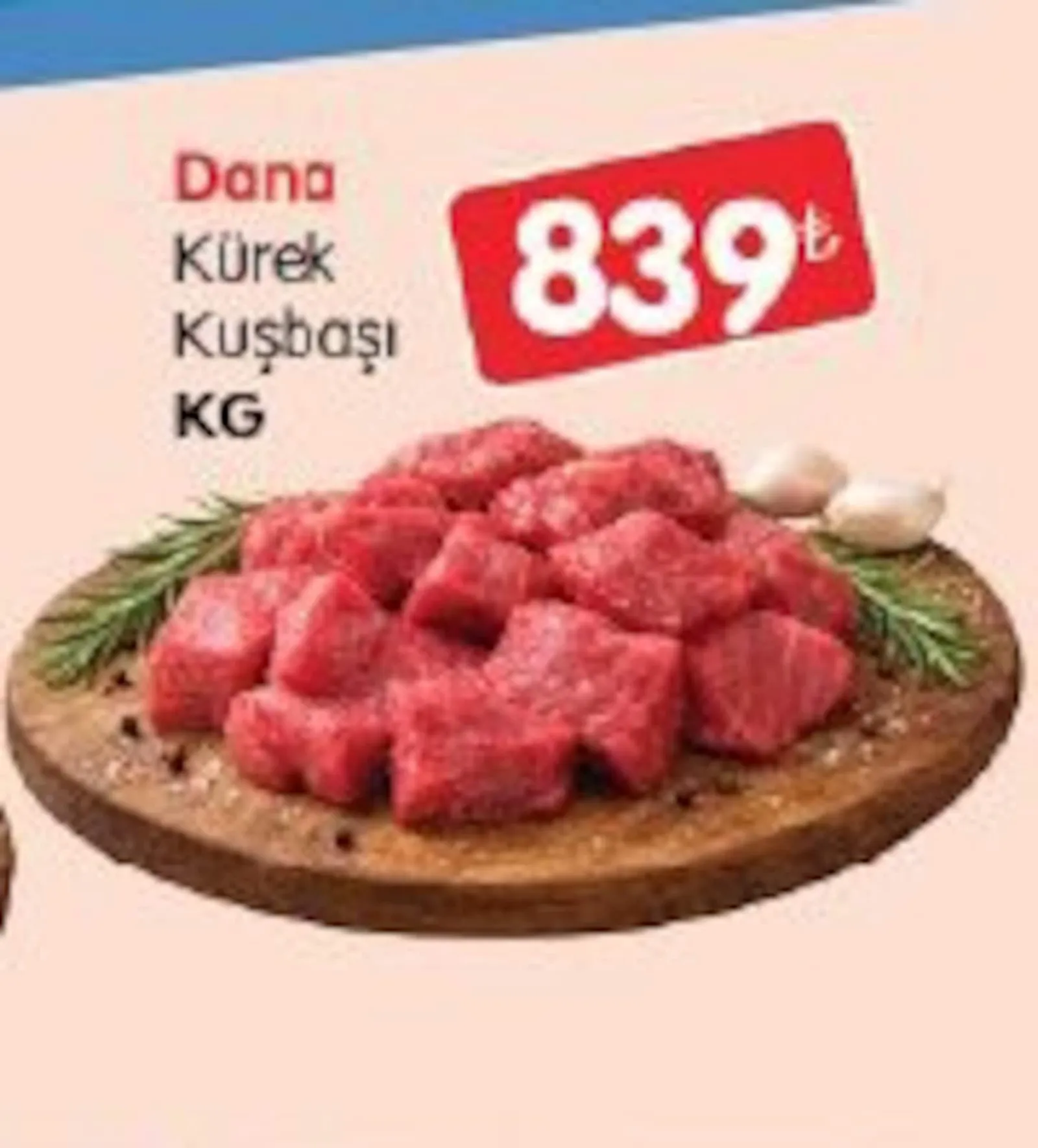 Bizim Gross broşürü sayfa 31
