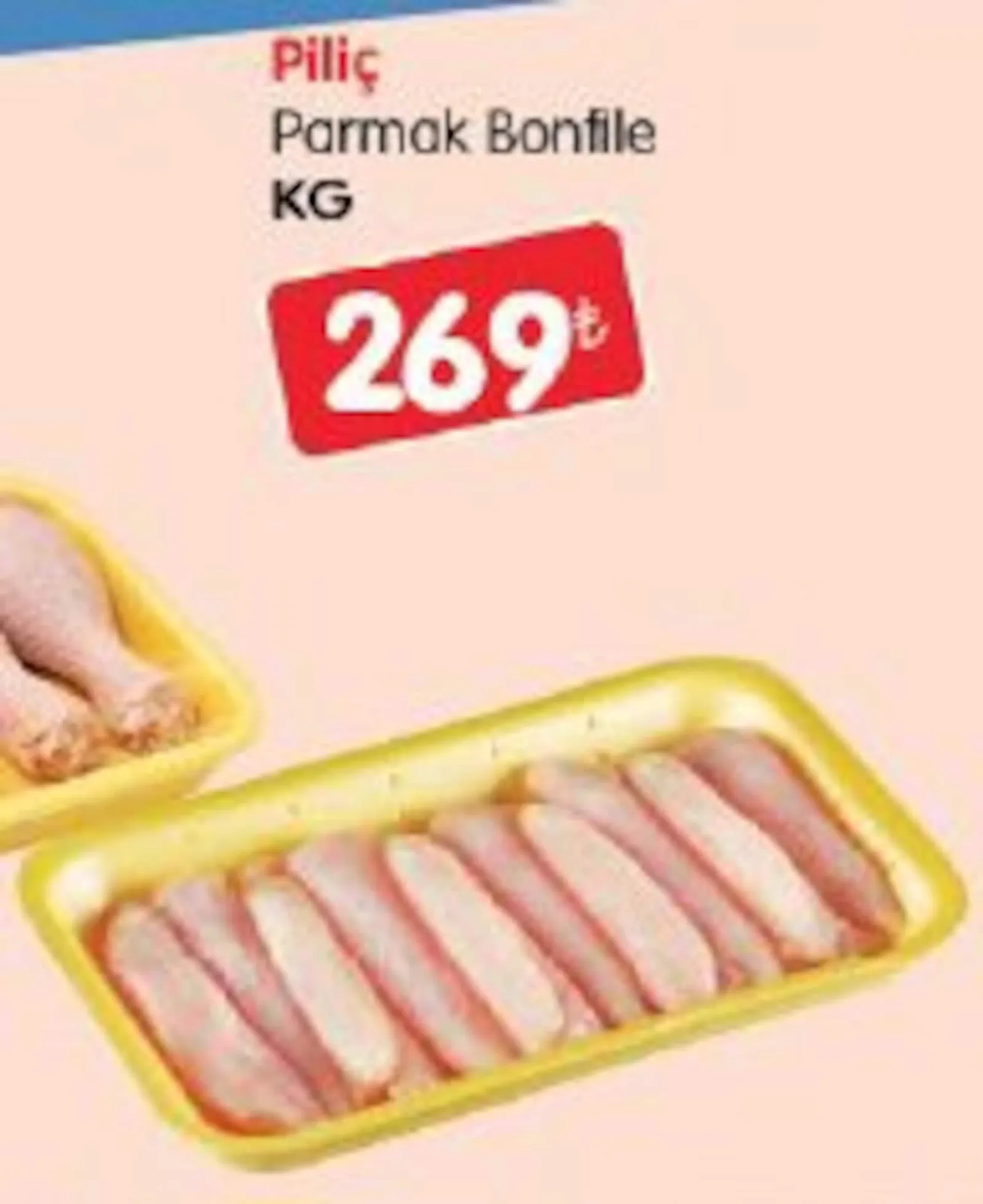 Bizim Gross broşürü sayfa 27