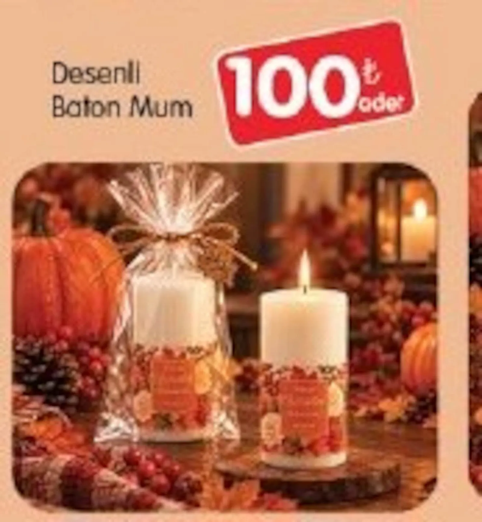 Bizim Gross broşürü sayfa 75