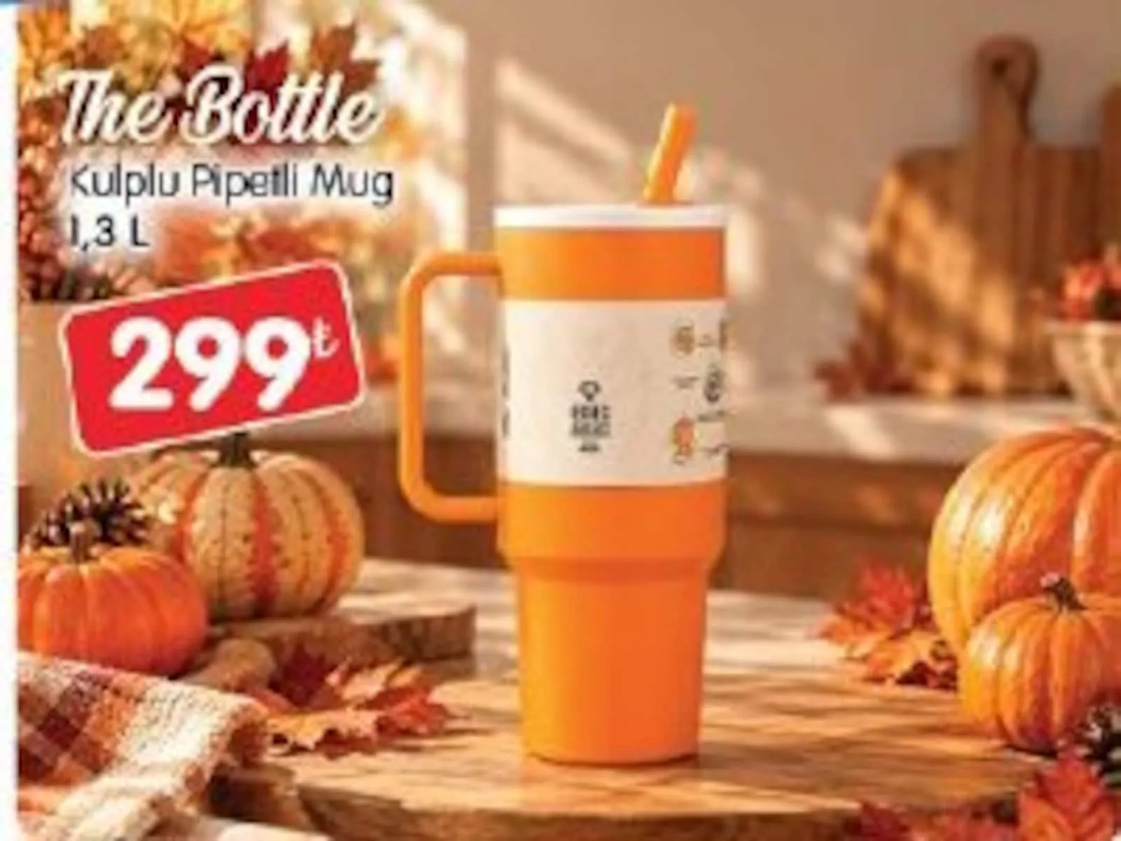 Bizim Gross broşürü sayfa 85