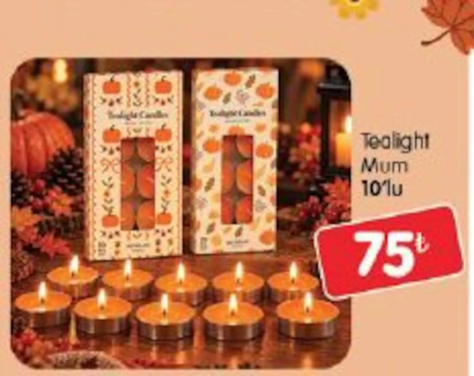 Bizim Gross broşürü sayfa 73